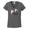 Ladies Heavy Cotton ™ 100% Cotton V Neck T Shirt Thumbnail