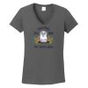 Ladies Heavy Cotton ™ 100% Cotton V Neck T Shirt Thumbnail