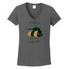 Ladies Heavy Cotton ™ 100% Cotton V Neck T Shirt Thumbnail