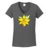 Ladies Heavy Cotton ™ 100% Cotton V Neck T Shirt Thumbnail