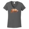 Ladies Heavy Cotton ™ 100% Cotton V Neck T Shirt Thumbnail