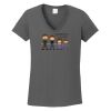 Ladies Heavy Cotton ™ 100% Cotton V Neck T Shirt Thumbnail