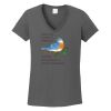 Ladies Heavy Cotton ™ 100% Cotton V Neck T Shirt Thumbnail