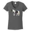 Ladies Heavy Cotton ™ 100% Cotton V Neck T Shirt Thumbnail