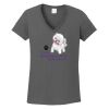 Ladies Heavy Cotton ™ 100% Cotton V Neck T Shirt Thumbnail