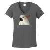 Ladies Heavy Cotton ™ 100% Cotton V Neck T Shirt Thumbnail