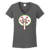 Ladies Heavy Cotton ™ 100% Cotton V Neck T Shirt Thumbnail