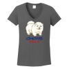 Ladies Heavy Cotton ™ 100% Cotton V Neck T Shirt Thumbnail