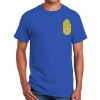 Ultra Cotton ® 100% Cotton T Shirt Thumbnail