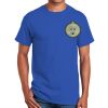 Ultra Cotton ® 100% Cotton T Shirt Thumbnail