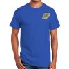Ultra Cotton ® 100% Cotton T Shirt Thumbnail