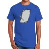 Ultra Cotton ® 100% Cotton T Shirt Thumbnail