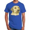Ultra Cotton ® 100% Cotton T Shirt Thumbnail