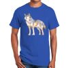 Ultra Cotton ® 100% Cotton T Shirt Thumbnail