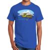 Ultra Cotton ® 100% Cotton T Shirt Thumbnail