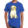 Ultra Cotton ® 100% Cotton T Shirt Thumbnail
