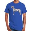Ultra Cotton ® 100% Cotton T Shirt Thumbnail