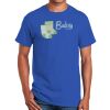 Ultra Cotton ® 100% Cotton T Shirt Thumbnail