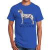 Ultra Cotton ® 100% Cotton T Shirt Thumbnail