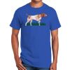 Ultra Cotton ® 100% Cotton T Shirt Thumbnail