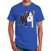 Ultra Cotton ® 100% Cotton T Shirt Thumbnail
