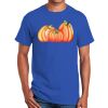 Ultra Cotton ® 100% Cotton T Shirt Thumbnail