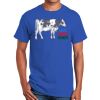 Ultra Cotton ® 100% Cotton T Shirt Thumbnail