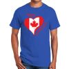 Ultra Cotton ® 100% Cotton T Shirt Thumbnail
