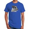 Ultra Cotton ® 100% Cotton T Shirt Thumbnail