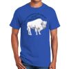 Ultra Cotton ® 100% Cotton T Shirt Thumbnail