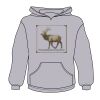Youth Heavy Blend™ Hooded Sweatshirt Thumbnail