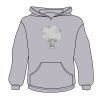 Youth Heavy Blend™ Hooded Sweatshirt Thumbnail
