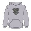 Youth Heavy Blend™ Hooded Sweatshirt Thumbnail