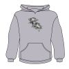 Youth Heavy Blend™ Hooded Sweatshirt Thumbnail