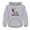 Youth Heavy Blend™ Hooded Sweatshirt Thumbnail