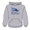 Youth Heavy Blend™ Hooded Sweatshirt Thumbnail