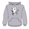 Youth Heavy Blend™ Hooded Sweatshirt Thumbnail