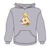 Youth Heavy Blend™ Hooded Sweatshirt Thumbnail
