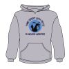 Youth Heavy Blend™ Hooded Sweatshirt Thumbnail