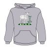 Youth Heavy Blend™ Hooded Sweatshirt Thumbnail