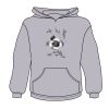 Youth Heavy Blend™ Hooded Sweatshirt Thumbnail