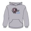 Youth Heavy Blend™ Hooded Sweatshirt Thumbnail