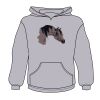 Youth Heavy Blend™ Hooded Sweatshirt Thumbnail