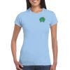 Ladies' Soft Style T-Shirt Thumbnail