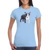 Ladies' Soft Style T-Shirt Thumbnail