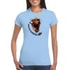 Ladies' Soft Style T-Shirt Thumbnail